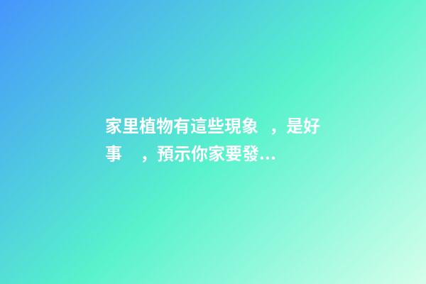 家里植物有這些現象，是好事，預示你家要發大財了！
